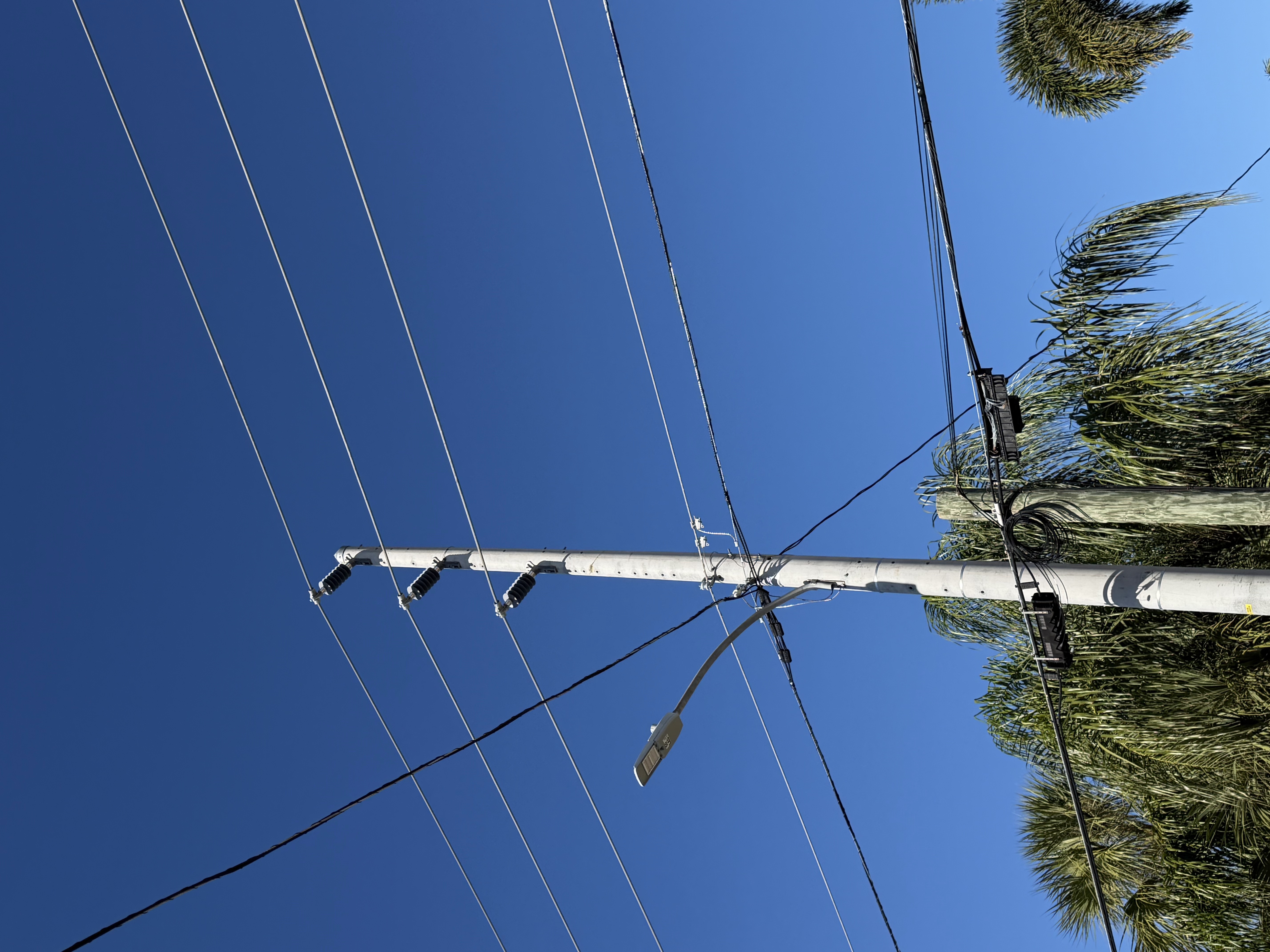 Field photo submitted by crew